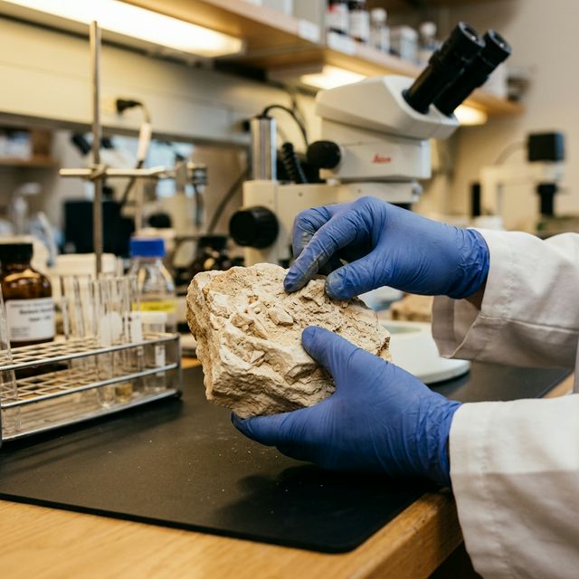 Scientist examining mineral specimen